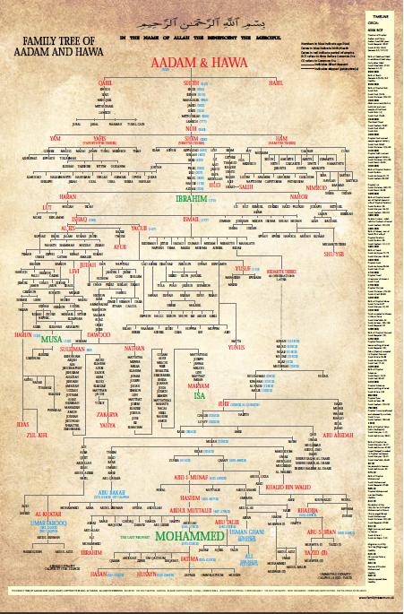 Adam To Jesus Genealogy Chart