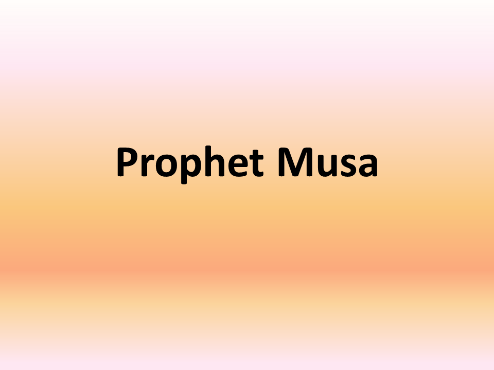 Musa